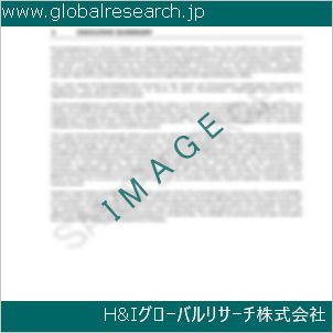 グローバルリサーチ調査資料のイメージ
